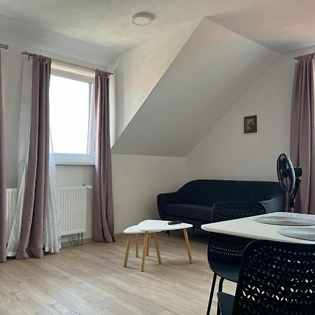Sabina Apartaments Sfântu-Gheorghe Exterior foto