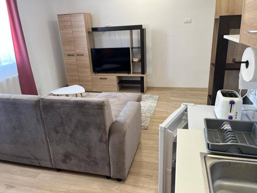 Sabina Apartaments Sfântu-Gheorghe Exterior foto