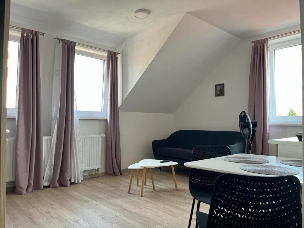 Sabina Apartaments Sfântu-Gheorghe Exterior foto