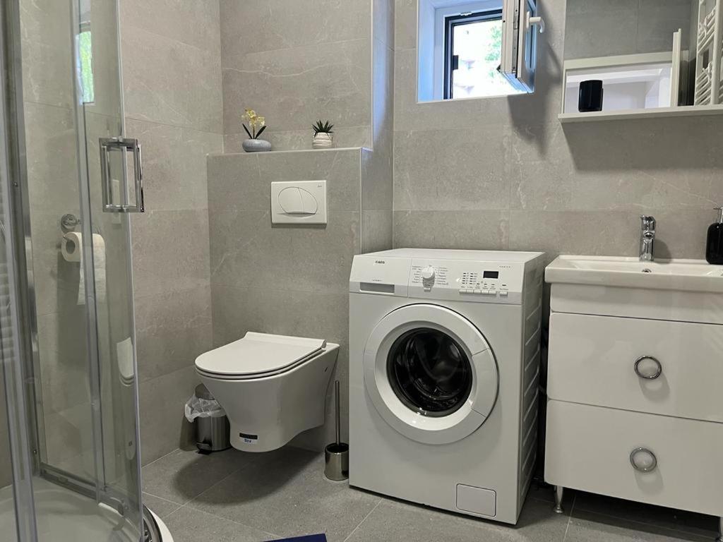 Sabina Apartaments Sfântu-Gheorghe Exterior foto