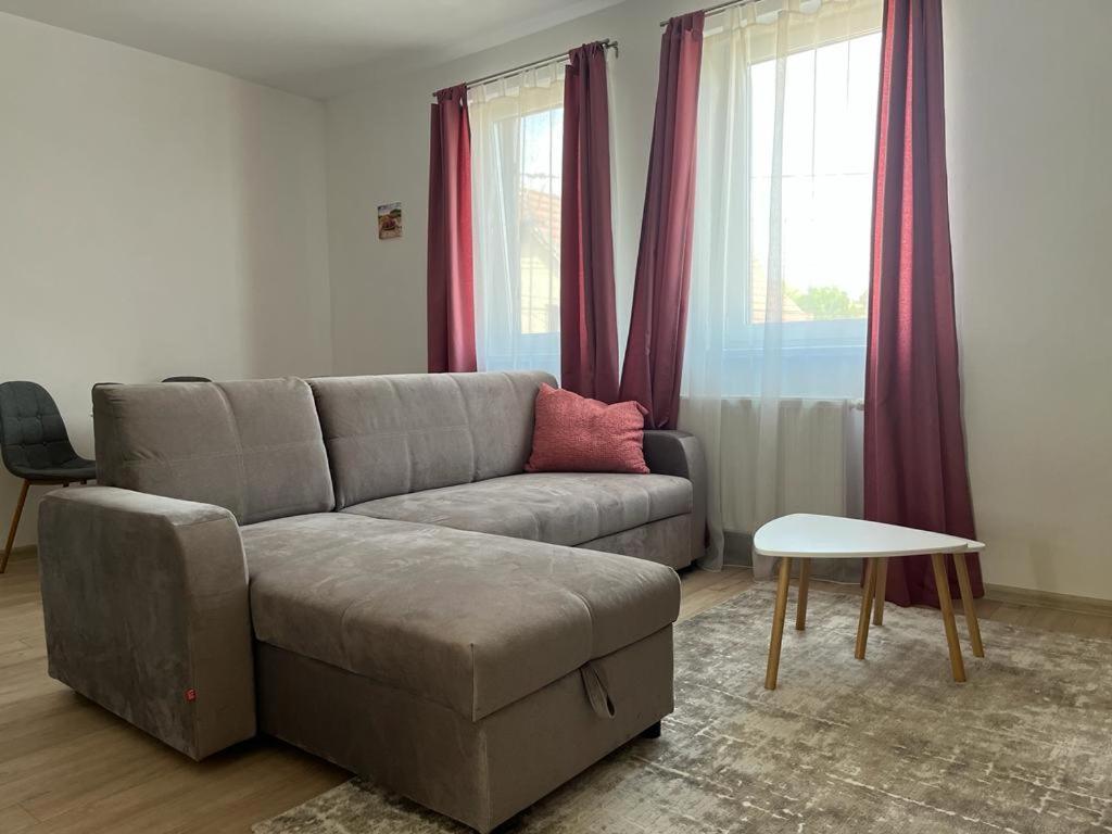 Sabina Apartaments Sfântu-Gheorghe Exterior foto