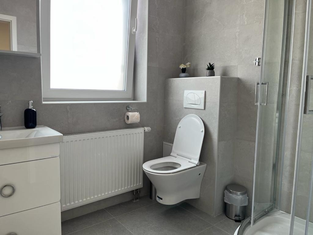 Sabina Apartaments Sfântu-Gheorghe Exterior foto