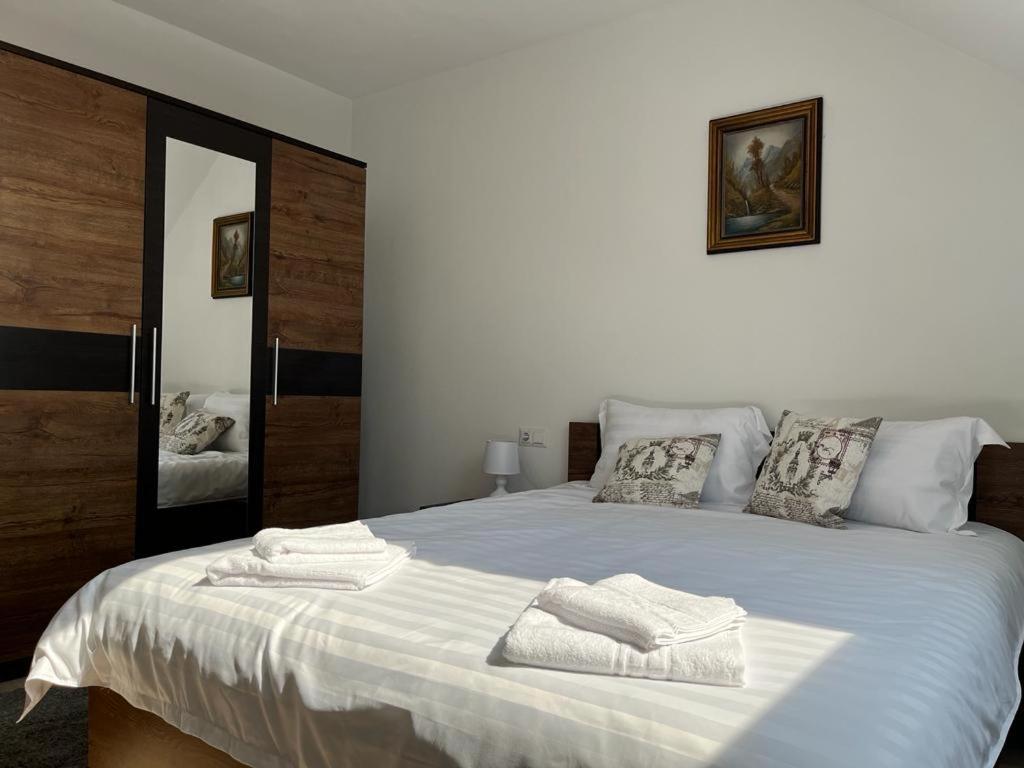 Sabina Apartaments Sfântu-Gheorghe Exterior foto